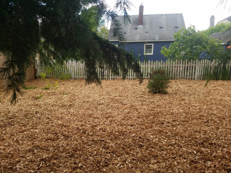 Backyard Woodchip Renovation Aloe's Landscape & Maintenance